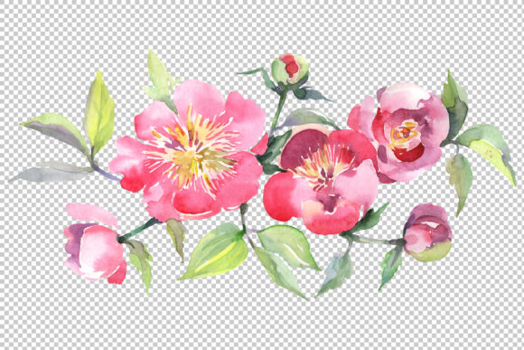 Bouquet with Tea Pink Roses Watercolor: Elevate Your Creative Projects