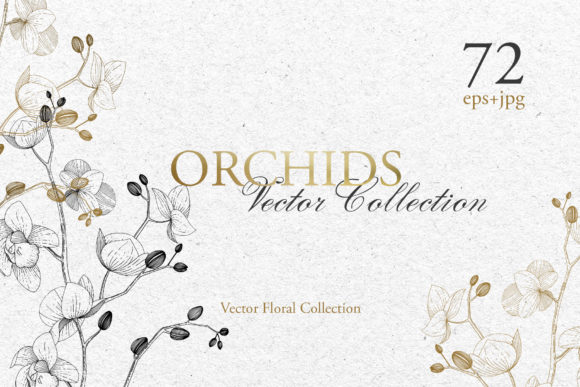 Branch of Orchids Vector Watercolor