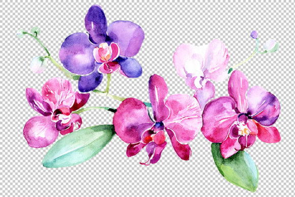 Branch of Purple Orchids Watercolor Set: A Digital Artist's Essential Resource for Botanical Design