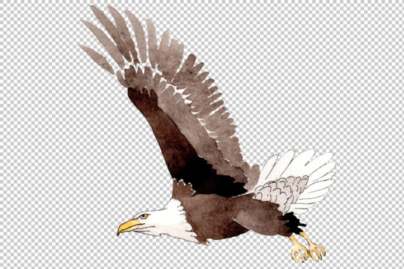 Bringing Majesty to Design: The Craft of American Bald Eagle Watercolor Elements