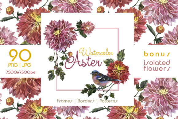 Charming Asters Watercolor Set: A Versatile Digital Resource for Modern Creatives