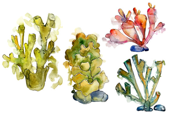 Corals Seafood Watercolor: A Complete Guide to Using Hand-Painted Digital Art for Creative Projects