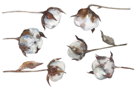 Cotton 2 Watercolor: Blending Handcrafted Art with Digital Versatility