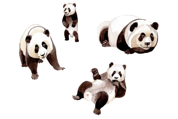 Design with Animal Panda Watercolor Art