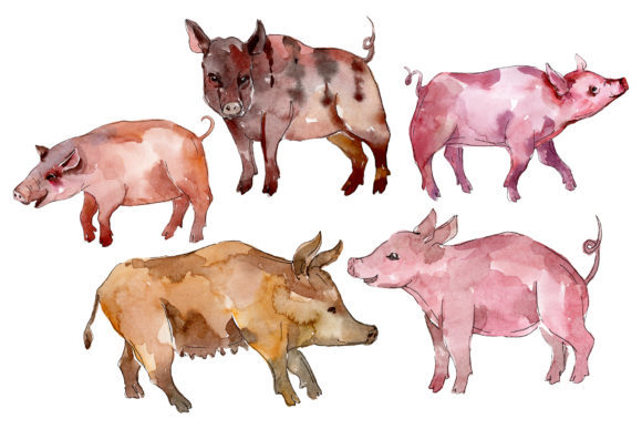 Farm Animals Pig Boar Watercolor Art for Creators