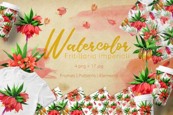 Fritillaria Imperiali Watercolor Set Review