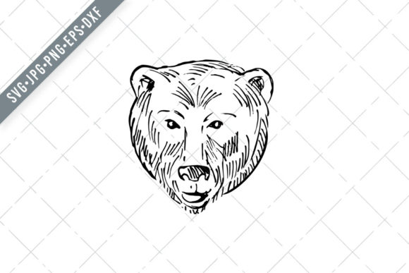 Head of a Brown Bear Ursus Arctos: Scratchboard Art That Roars in Any Project