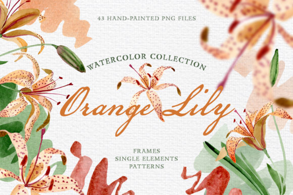Orange Lily Watercolor: Hand-Painted Aquarelle Design Elements for Creative Projects
