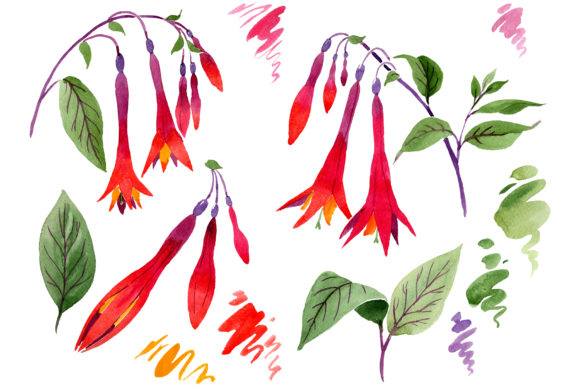 Orange-Red Fuchsia Watercolor Clipart Pack