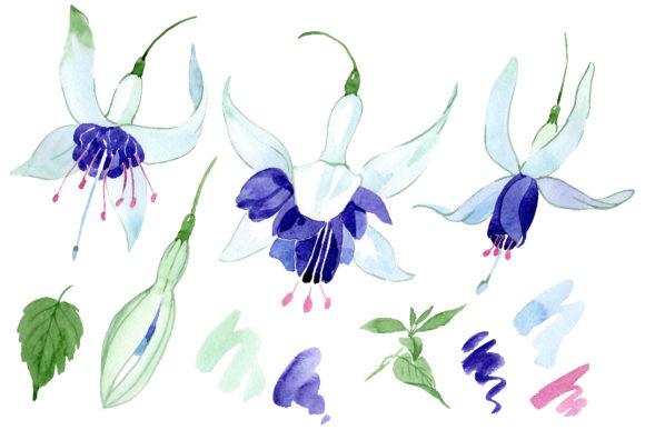 Unlock Creative Possibilities with Fuchsia Watercolor PNG Clipart