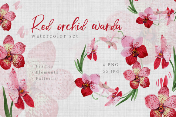 Watercolor Red Orchid Wanda Set – A Complete Guide to Aquarelle Beauty for Creative Projects