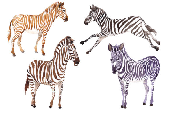 Zebra Set Watercolor: Hand-Painted Design Elements for Creative Projects